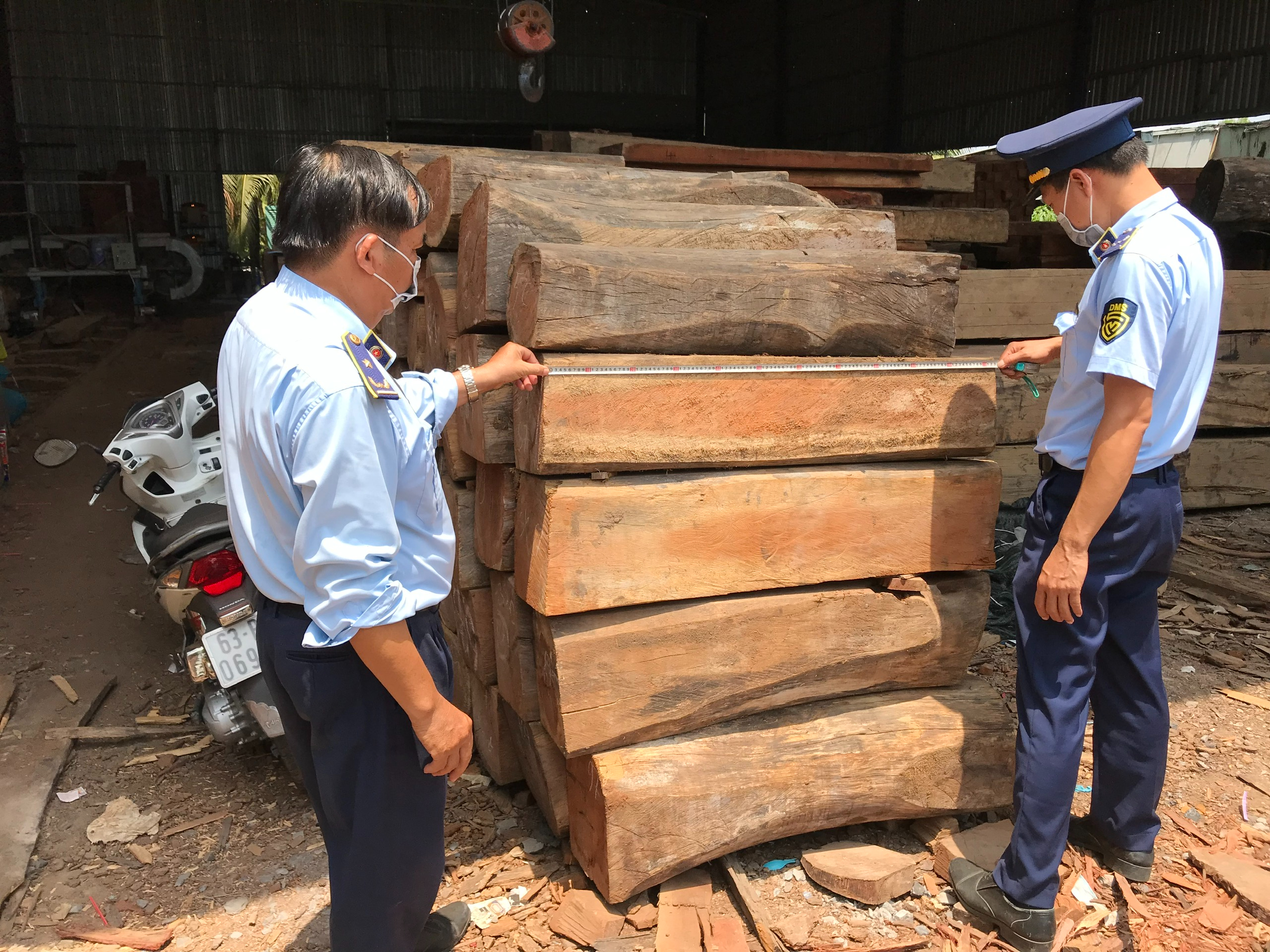 Phạt hơn 60 triệu đồng, tịch thu lô gỗ không hồ sơ hợp pháp
